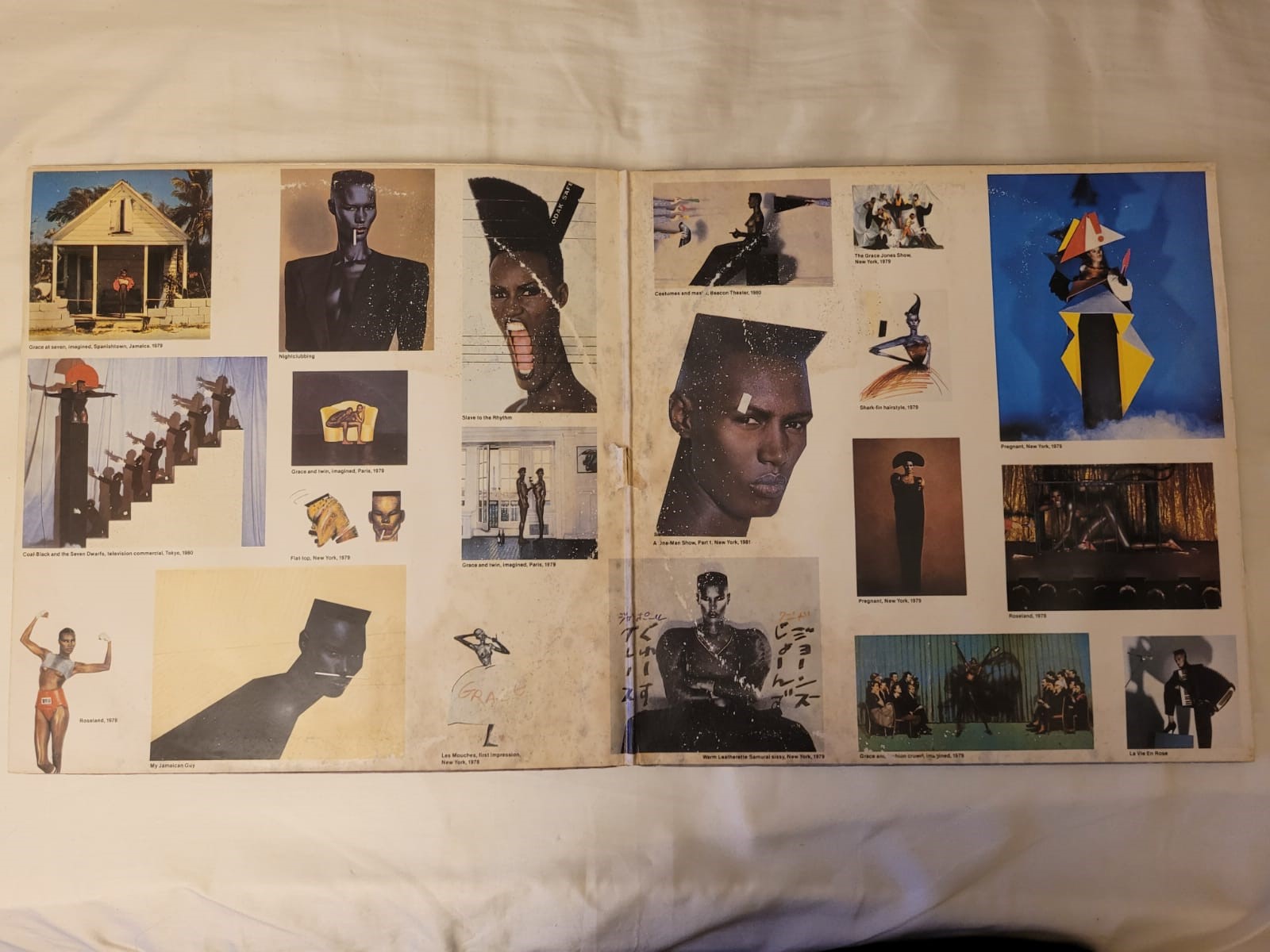 Grace Jones - Island Life - Thumbnail 3